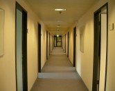 The main hallway