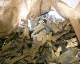 bag of Linotype matricies