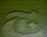 typecon_buffalo_12