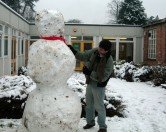 snowfall snowfall