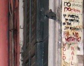 New Orleans Shop Rules