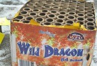 Wild Dragon fireworks