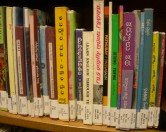 nyc public library