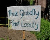 Boston Type - Local Produce Sign