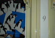Den Haag House Number 9