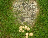 Ditchling Cemetery