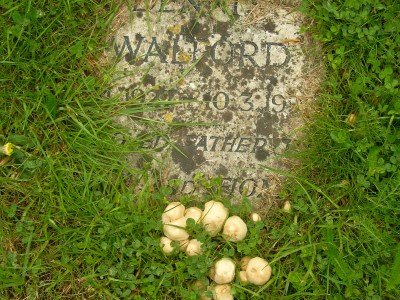 Ditchling Cemetery