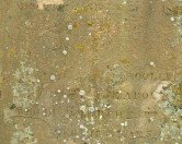 Ditchling Cemetery