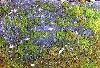 reykyavik-cemetery-12