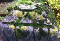 reykyavik-cemetery-20
